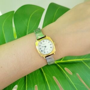 Vintage Swiss Pinnacle 17 Jewels Incabloc Roman Numerals Classic Stretch Watch